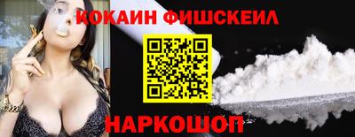 крисы Кулебаки