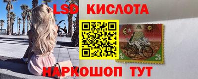 крисы Кулебаки