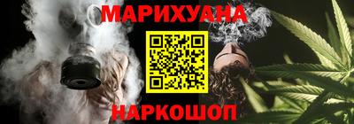 крисы Кулебаки