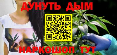 крисы Кулебаки