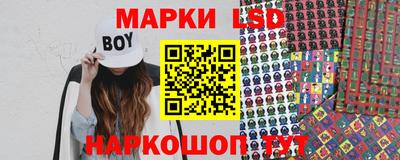 крисы Кулебаки