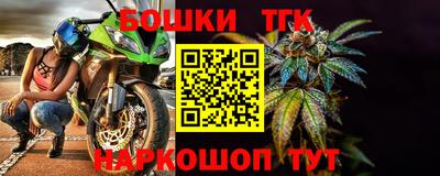 крисы Кулебаки