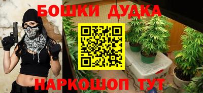 крисы Кулебаки