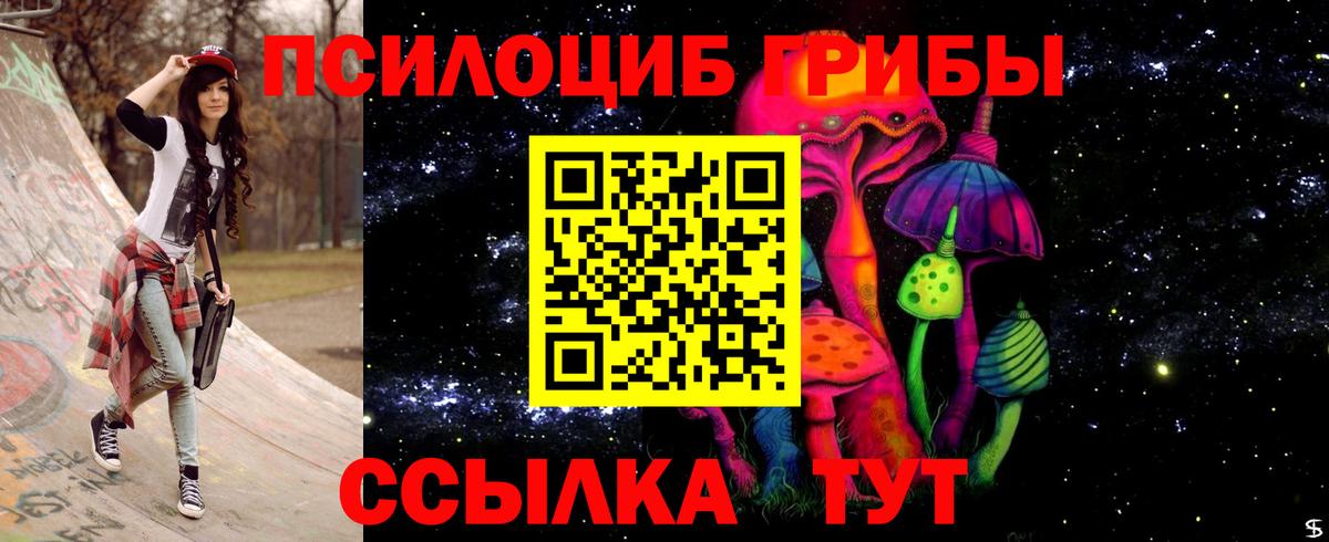 Псилоцибиновые грибы мицелий  Вход с VPN  Железногорск 